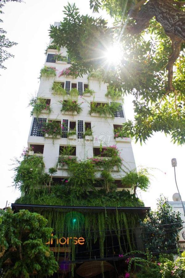 Seahorse Tropical Apartment Da Nang Zewnętrze zdjęcie